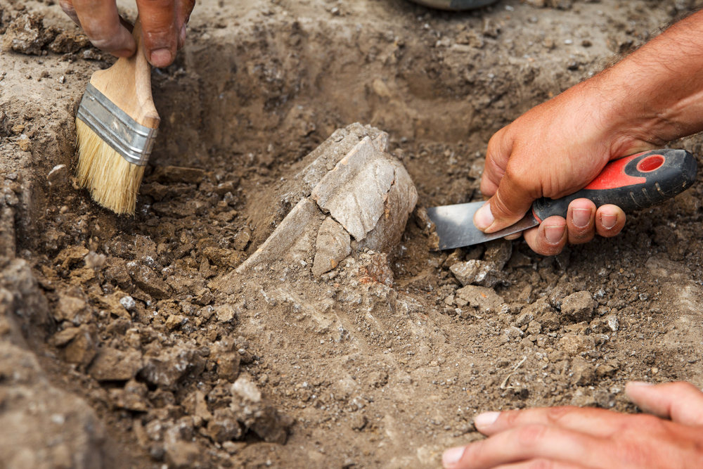 Archeologové u Hořenic na Náchodsku hlásí četné objevy z několika etap pravěku